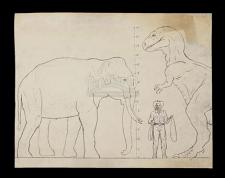 THE VALLEY OF GWANGI (1969) - Ray Harryhausen Gwangi Scale Comparison