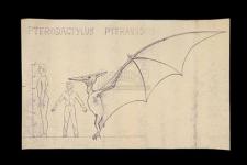 THE VALLEY OF GWANGI (1969) - Ray Harryhausen Pterodactylus Scale Comparison